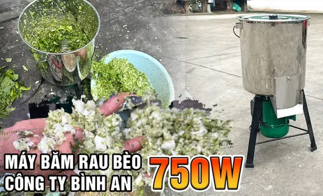 may-bam-rau-beo-750w_result222
