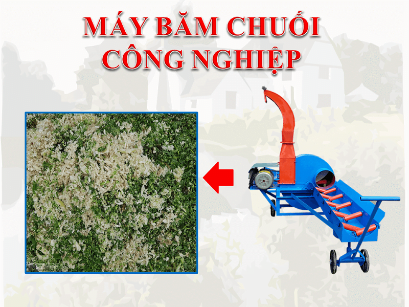may-bam-chuoi-cong-nghiep-co-bang-tai
