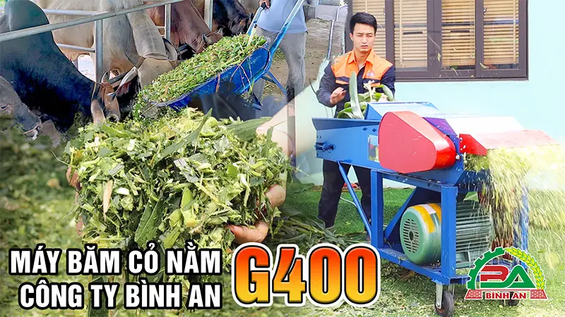 may-bam-co-g400-binh-an_result222