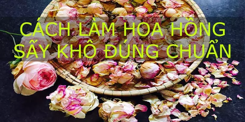 cach-lam-hoa-hong-kho-dung-chuan