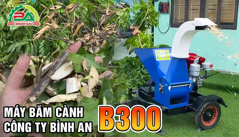 may-bam-canh-b300_result222