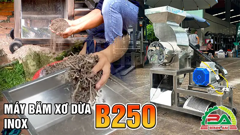 may-bam-xo-dua-b250-inox-cong-ty-binh-an_result222