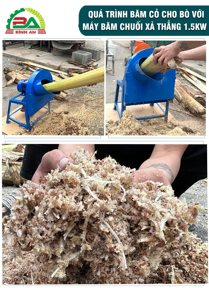 may-bam-chuoi-1,5kw-binh-an_result222
